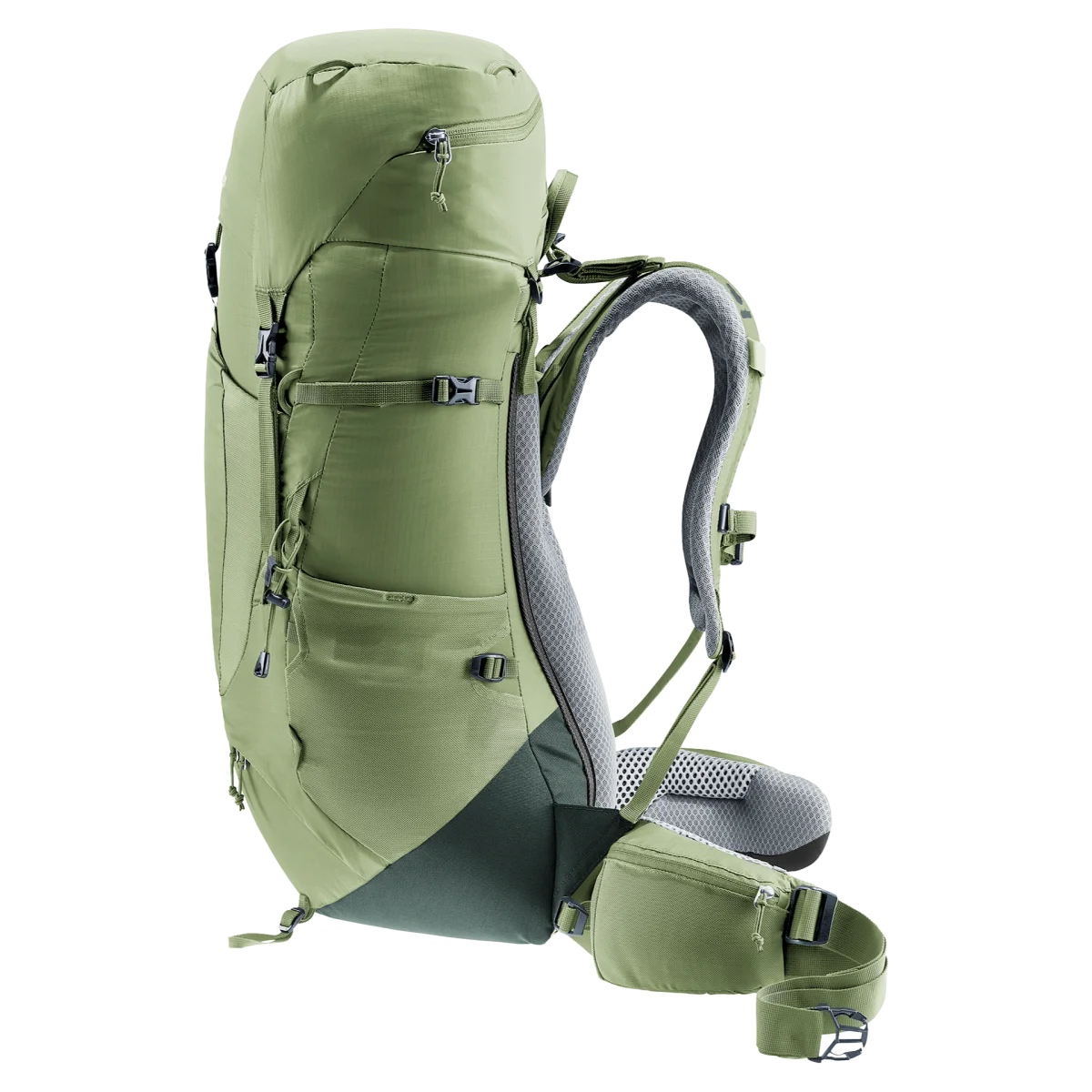 Mochila Aircontact Lite 35 + 10 SL grove-ivy DEUTER - Imagen 6