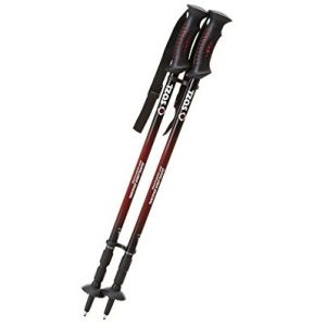 BASTON TREKKING IZAS ISTOR