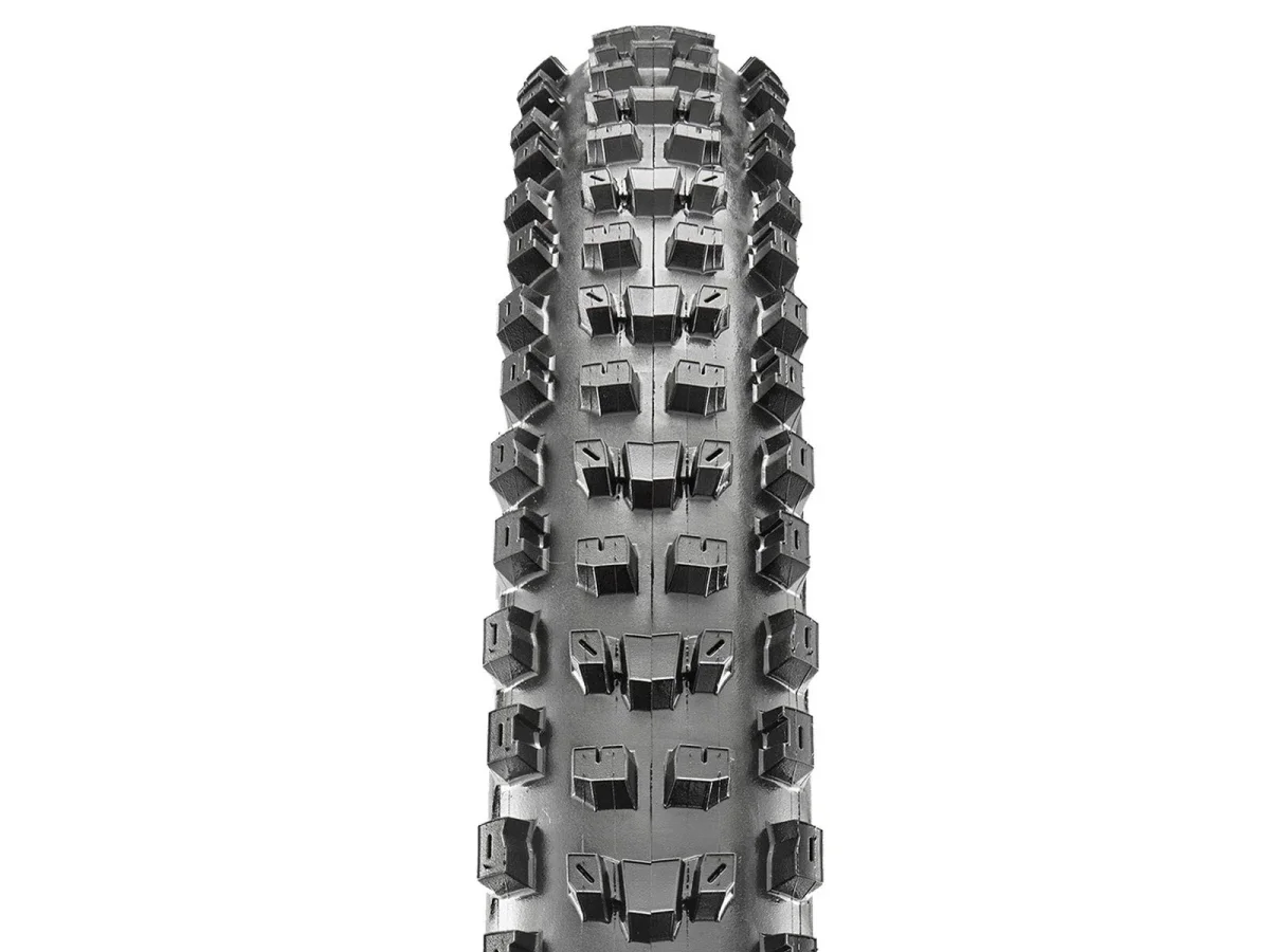 Cubierta Maxxis Dissector EXO+ Protection - 3C MaxxTerra - Tubeless Ready - Imagen 3