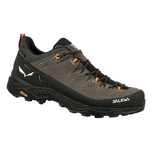 Zapatillas Alp Trainer 2 GTX M SALEWA