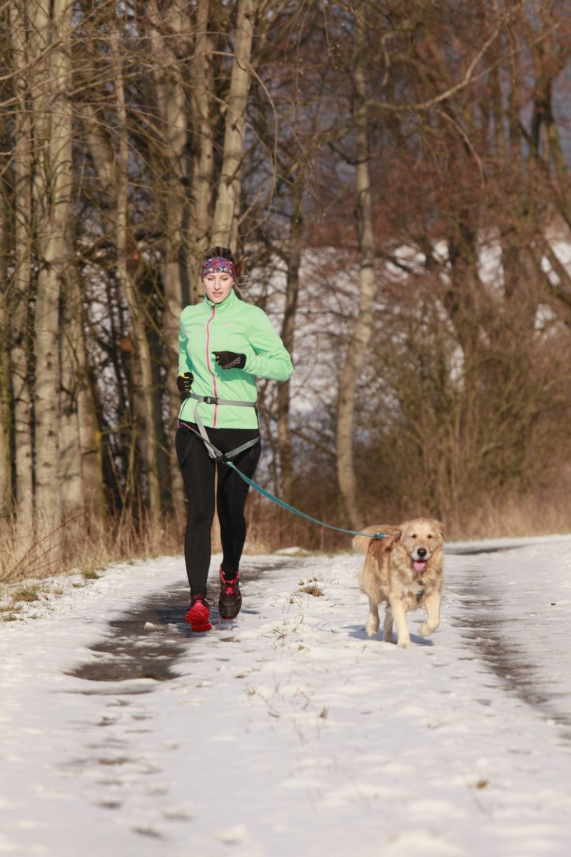 Arnés Deportivo para paseos con perros CANICROSS Negro – ROCK EMPIRE - Imagen 3