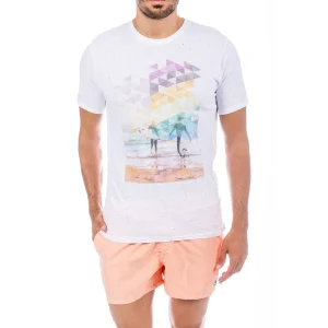 CAMISETA KOALAROO ENAKA