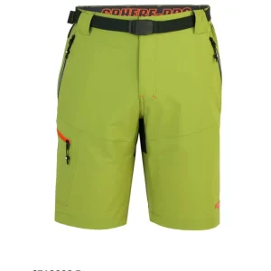 Pantalón corto Evergreen SPHERE PRO
