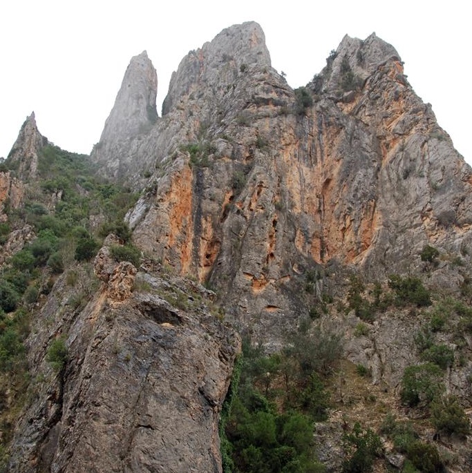 BARRANCO SECO DE MOLUENGO (VENTA DEL MORO)