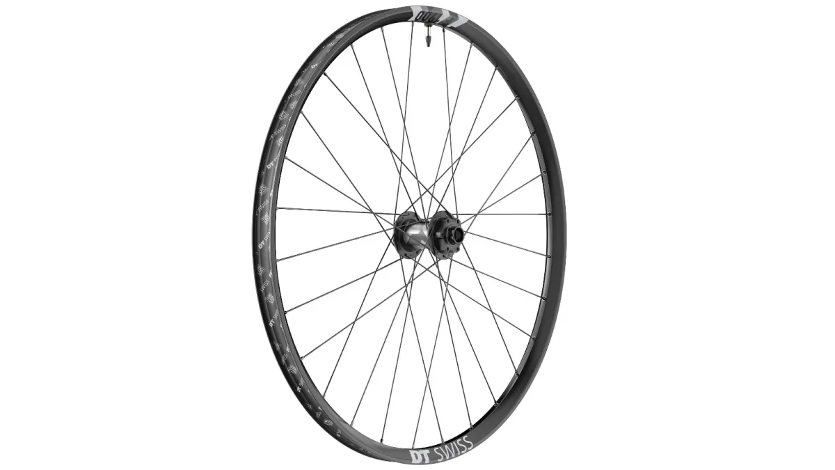 Rueda delantera DH DT Swiss F 1900 CLASSIC 30 - Aluminio - Tubeless Ready