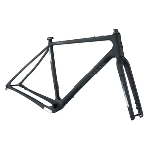 Cuadro Salsa Wardbird