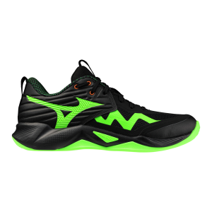 MIZUNO WAVE MOMENTUM PRO